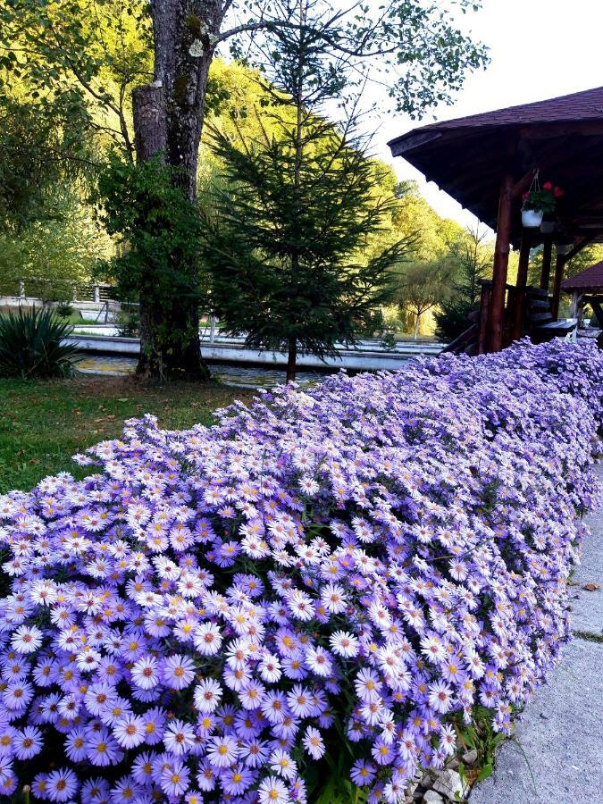 Pastravaria Cascada Rausor Hotel Berevoesti Exterior foto